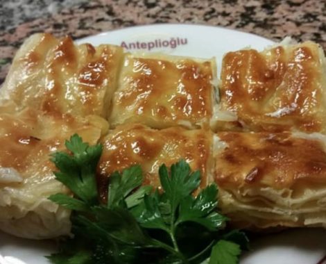 anteplioglu4